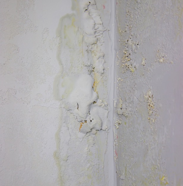 Basement Waterproofing